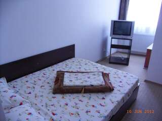 Отель Hotel Basarab Бухарест Двухместный номер с 1 кроватью или 2 отдельными кроватями-6