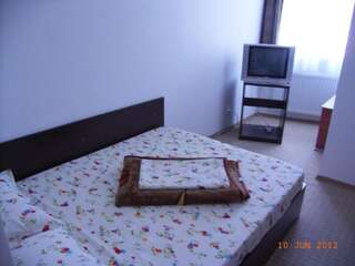 Отель Hotel Basarab Бухарест Двухместный номер с 1 кроватью или 2 отдельными кроватями-13
